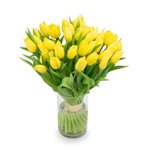 Kytice  tulipánů